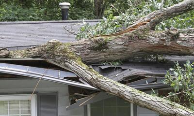 Stormschade