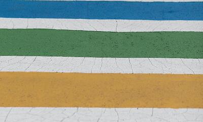 Regenboogzebrapad (c) GettyImages
