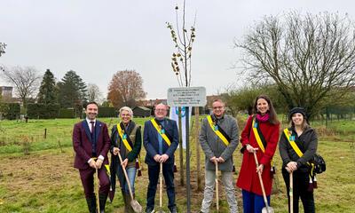 Het schepencollege bij de geboorteboom