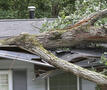 Stormschade
