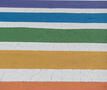 Regenboogzebrapad (c) GettyImages