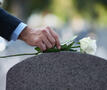 Roos op grafsteen (iStock)
