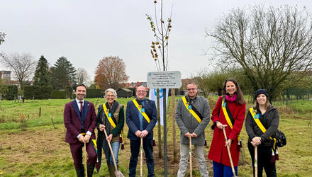 Het schepencollege bij de geboorteboom